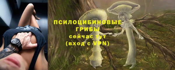 ешки Балахна