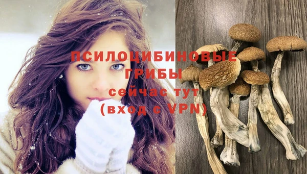 mdpv Арсеньев