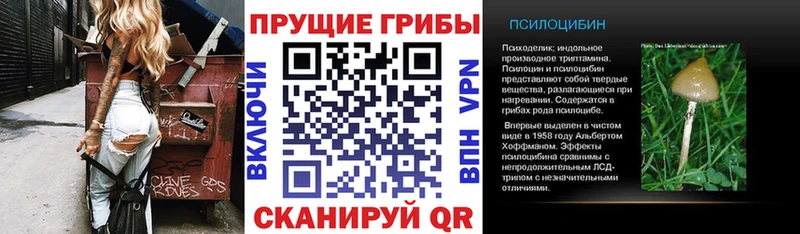 гидра маркетплейс  сколько стоит  Петухово  Галлюциногенные грибы Psilocybe 